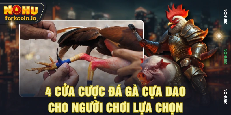 4 cửa cược đá gà cựa dao cho người chơi lựa chọn 4 cửa cược đá gà cựa dao cho người chơi lựa chọn