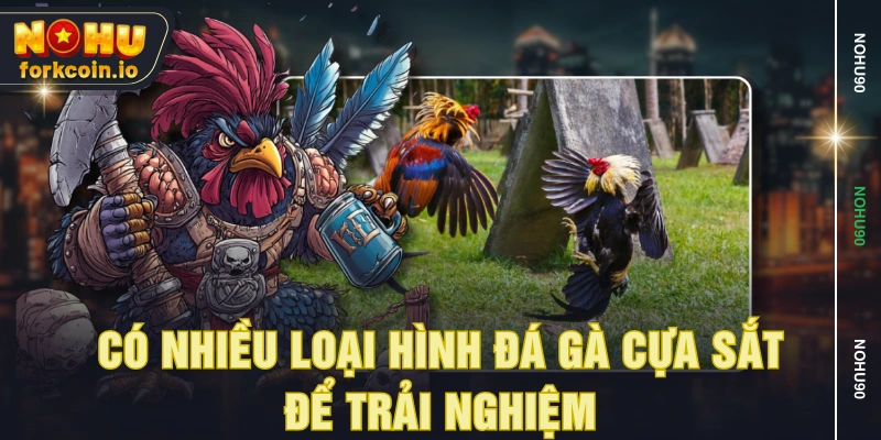 Có nhiều loại hình đá gà cựa sắt để trải nghiệm Có nhiều loại hình đá gà cựa sắt để trải nghiệm