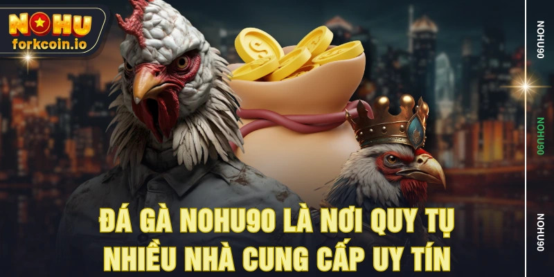 Đá gà NOHU90 là nơi quy tụ nhiều nhà cung cấp uy tín