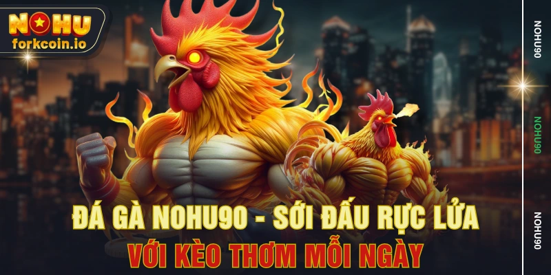 Đá Gà NOHU90 - Sới Đấu Rực Lửa Với Kèo Thơm Mỗi Ngày