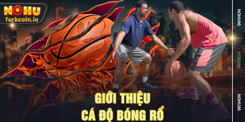 Giới thiệu cá độ bóng rổ Giới thiệu cá độ bóng rổ