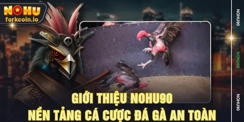 Giới thiệu NOHU90 - Nền tảng cá cược đá gà an toàn