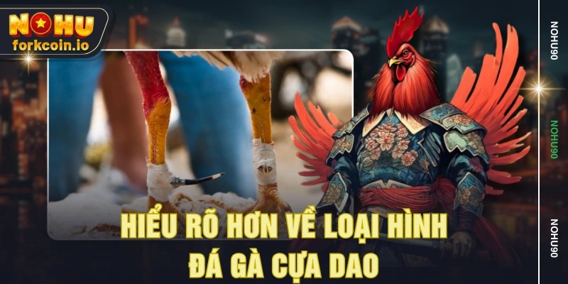 Hiểu rõ hơn về loại hình đá gà cựa dao Hiểu rõ hơn về loại hình đá gà cựa dao