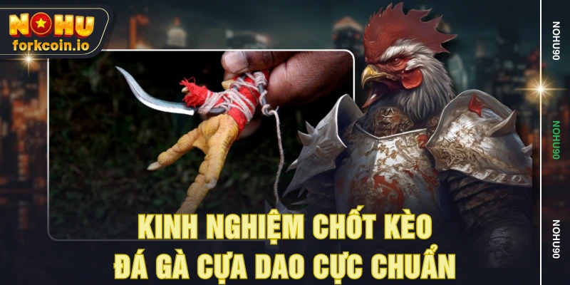 Kinh nghiệm chốt kèo đá gà cựa dao cực chuẩn Kinh nghiệm chốt kèo đá gà cựa dao cực chuẩn