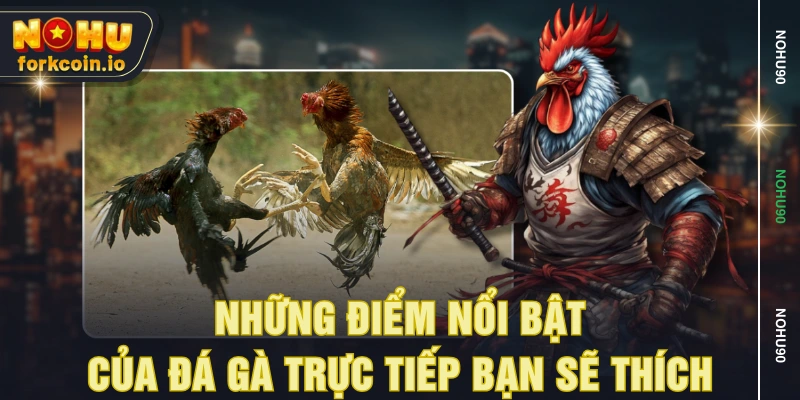 Những điểm nổi bật của đá gà trực tiếp bạn sẽ thích
