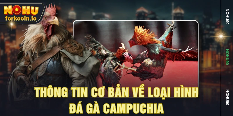 Thông tin cơ bản về loại hình đá gà Campuchia Thông tin cơ bản về loại hình đá gà Campuchia