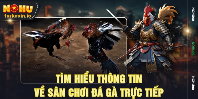 Tìm hiểu thông tin về sân chơi đá gà trực tiếp