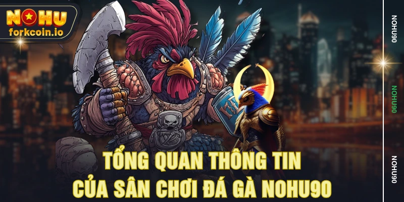 Tổng quan thông tin của sân chơi đá gà NOHU90