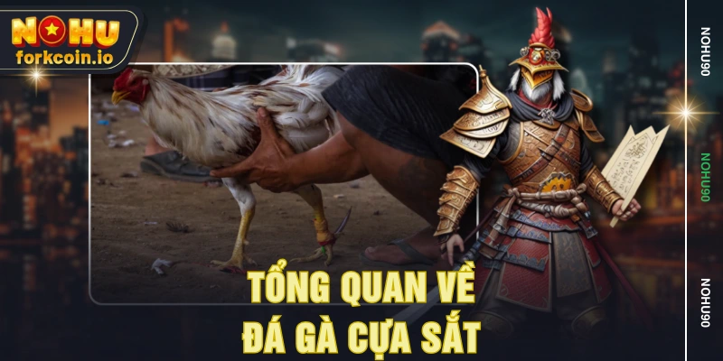 Tổng quan về đá gà cựa sắt Tổng quan về đá gà cựa sắt