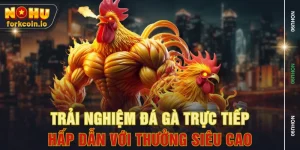 Trải Nghiệm Đá Gà Trực Tiếp Hấp Dẫn Với Thưởng Siêu Cao
