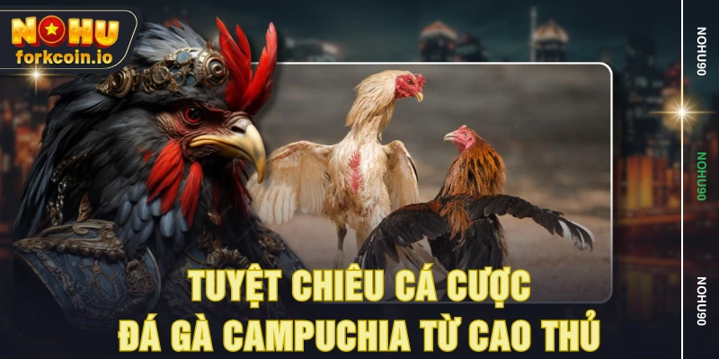 Tuyệt chiêu cá cược đá gà Campuchia từ cao thủ Tuyệt chiêu cá cược đá gà Campuchia từ cao thủ